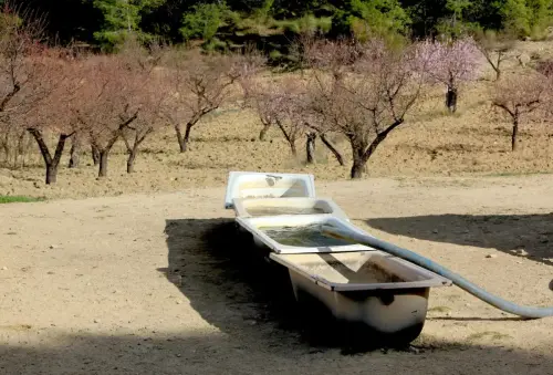 Bidones-abrevadero-Los-Banuelos-Socovos