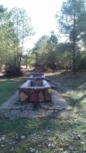 Abrevaderos-Arroyo-de-Bienservida