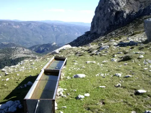 Abrevaderos-Calar-de-la-Sima-Pena-Palomera-Yeste3