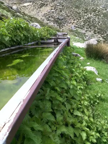 Abrevaderos-Calar-de-la-Sima-Yeste6