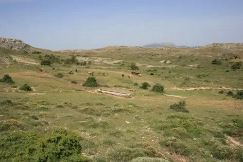 Abrevaderos-Calar-del-Mundo-El-Buitre