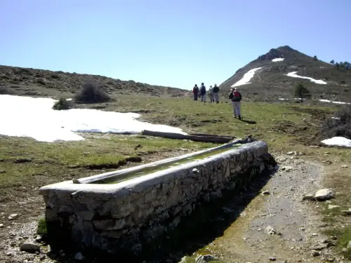 Abrevaderos-Calar-del-Mundo-El-Buitre2