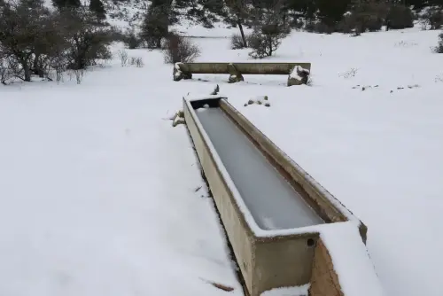 Abrevaderos-Calar-del-Mundo-Ganaderia
