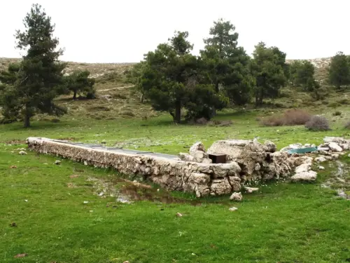 Abrevaderos-Calar-del-Mundo-La-Media-Fanega