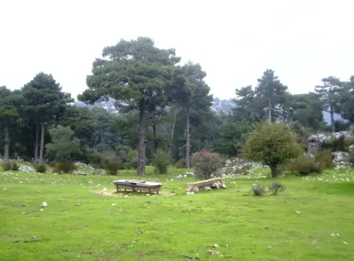 Abrevaderos-Calar-del-Mundo-La-Media-Fanega2