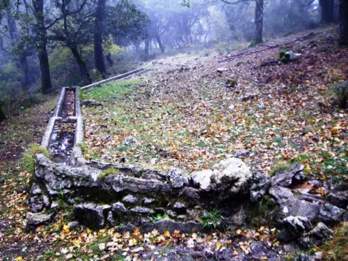 Abrevaderos-Calar-del-Mundo-Las-Raigas-de-Abajo