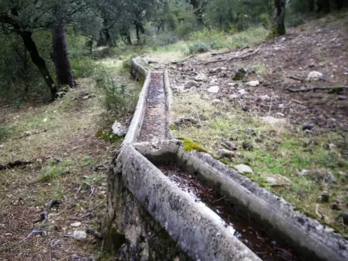 Abrevaderos-Calar-del-Mundo-Las-Raigas-de-Abajo2