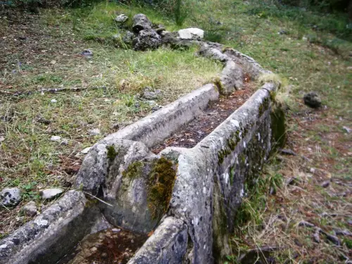 Abrevaderos-Calar-del-Mundo-Las-Raigas-de-Abajo7