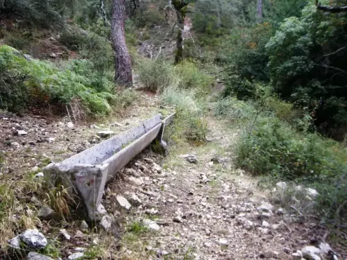 Abrevaderos-Calar-del-Mundo-Las-Raigas-de-Arriba