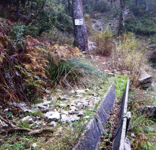 Abrevaderos-Calar-del-Mundo-Las-Raigas-de-Arriba5