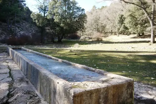Abrevaderos-Calar-del-Mundo-fuente-de-Abajo