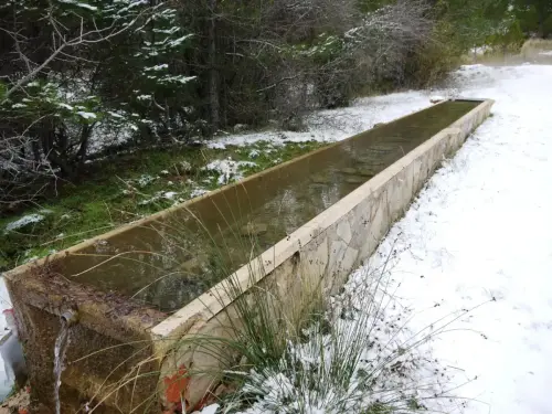 Abrevaderos-Calar-del-Mundo-fuente-de-Abajo4