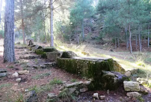Abrevaderos-Canada-de-Bogarra-Penascosa