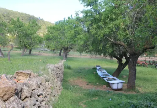 Abrevaderos-Canada-de-Haches-Bogarra