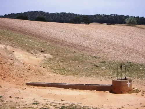 Abrevaderos-Charco-de-la-Quebrada-Albacete