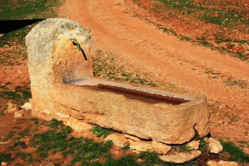 Abrevaderos-El-Molinar-Alcadozo