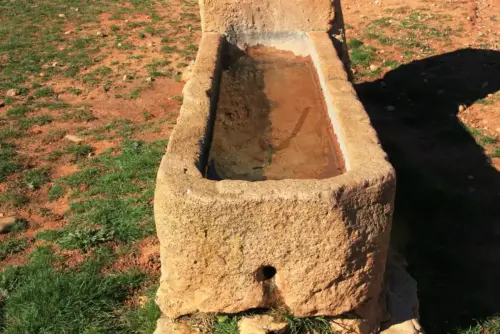 Abrevaderos-El-Molinar-Alcadozo2