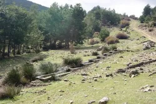 Abrevaderos-El-Tamaral-Nerpio2