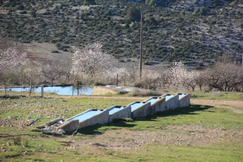 Abrevaderos-Fuente-de-la-Sabina-Letur4