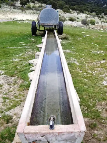 Abrevaderos-Hoyas-del-Espino-Nerpio2