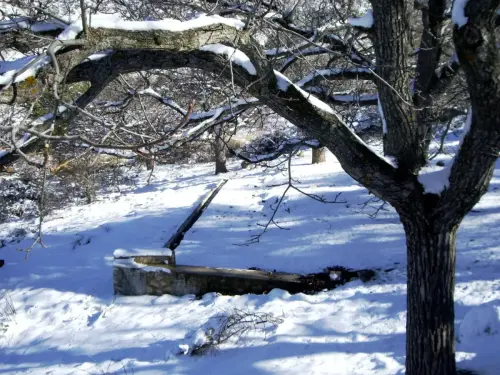 Abrevaderos-La-Carnina-Nerpio3