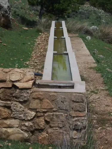 Abrevaderos-La-Mesta-Alcaraz