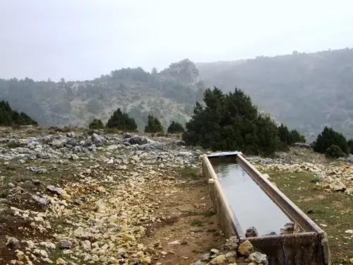 Abrevaderos-Las-Aceas-Yeste