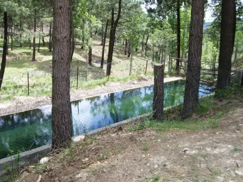 Abrevaderos-Monte-Tinjarra-Yeste-