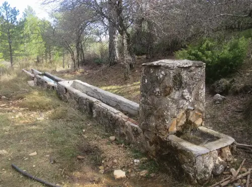 Abrevaderos-Paterna-del-Madera