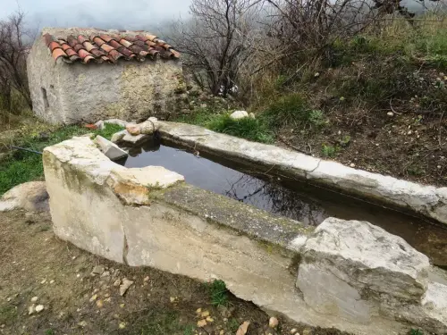 Abrevaderos-Paules-Yeste