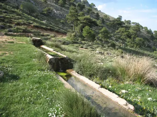 Abrevaderos-Pino-de-los-Muchachos-Paterna-del-Madera