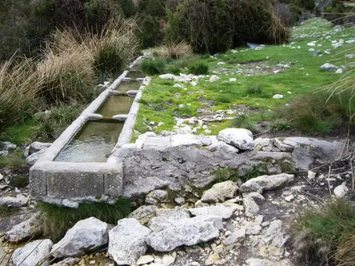 Abrevaderos-Pino-de-los-Muchachos-Paterna3