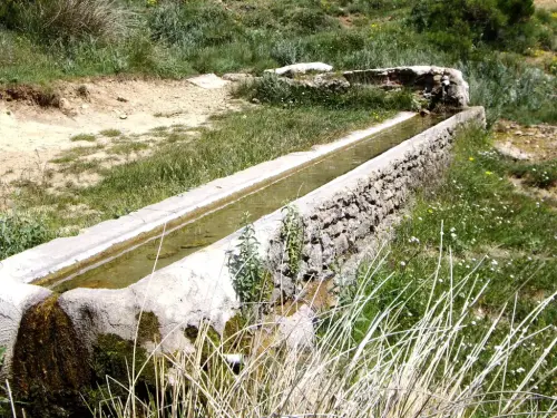 Abrevaderos-Pino-de-los-Muchachos-Paterna4