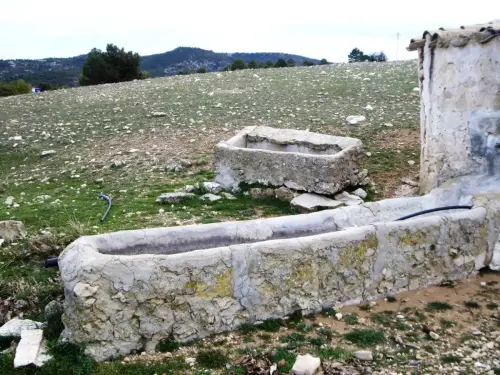 Abrevaderos-Por-Las-Cabras-Nerpio
