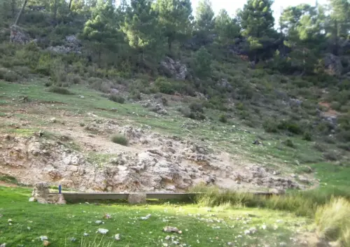 Abrevaderos-Por-Los-Chovales-Molinicos