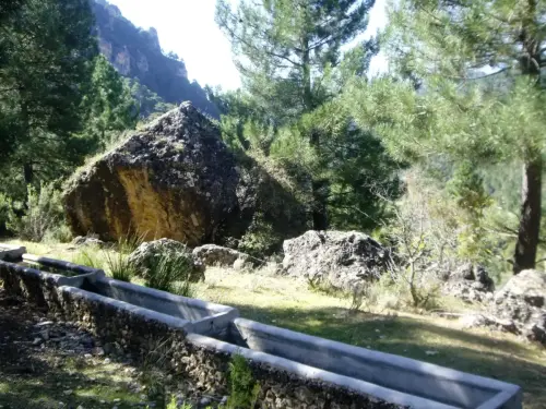 Abrevaderos-Por-Rio-Madera-Paterna