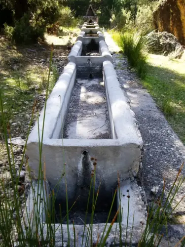 Abrevaderos-Por-Rio-Madera-Paterna2