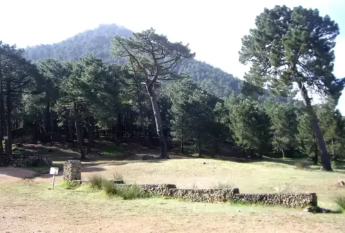 Abrevaderos-Puerto-del-Arenal-Riopar