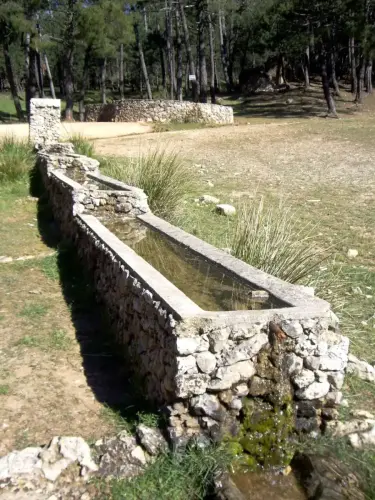 Abrevaderos-Puerto-dl-Arenal-Riopar