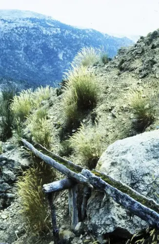 Acequias-Calar-del-Mundo