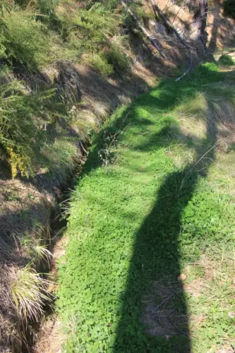 Acequias-La-Parrilla-Yeste2