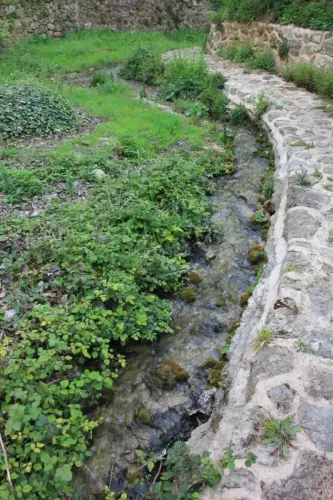 Acequias-Molinicos-Los-Alejos