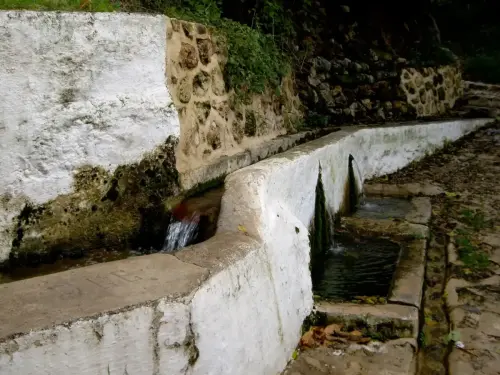 Acequias-Molinicos6-Los-Alejos