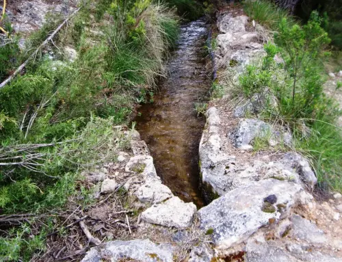 Acequias-Nerpio-El-Zarzalar10