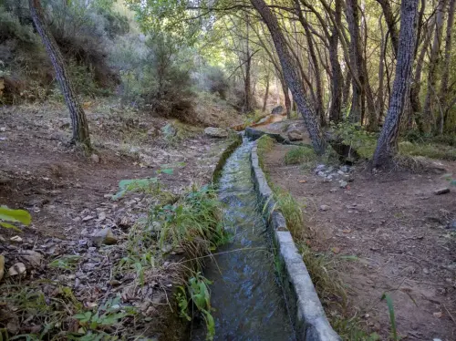 Acequias-Nerpio-El-Zarzalar5
