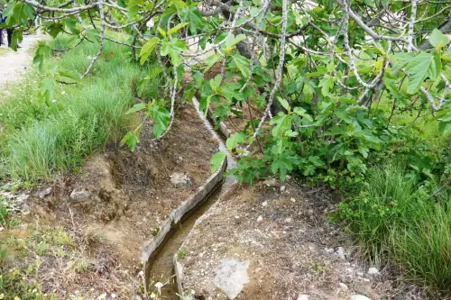 Acequias-Rincon-Cavero-Yeste