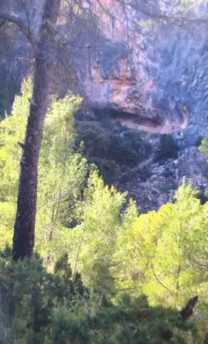 ARUP.-003-Ayna-Cueva-del-Nino-Paleoliitico-Superior