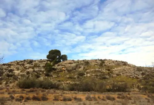 ARUP.-080-Minateda-Hellin-Rinconada-del-Rayo