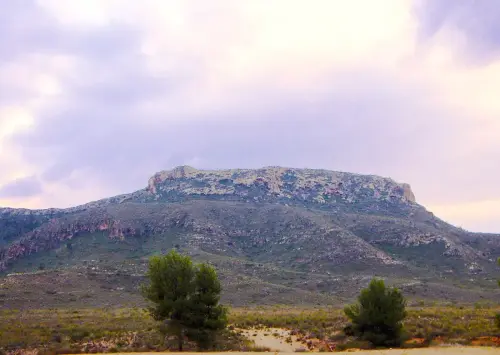 ARUP.-084-Hellin-Sierra-de-la-Tienda