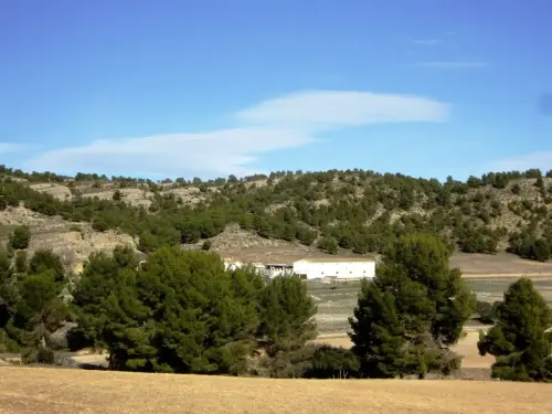 ARUP.-111-Almansa-Olula